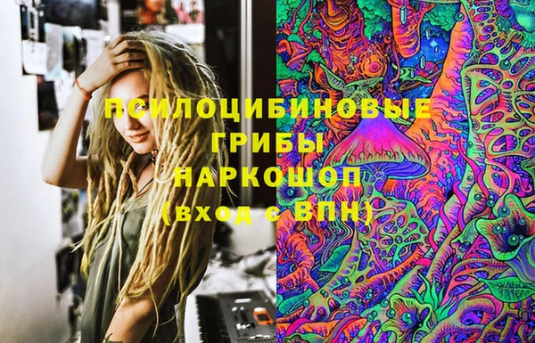 гидра Дмитриев