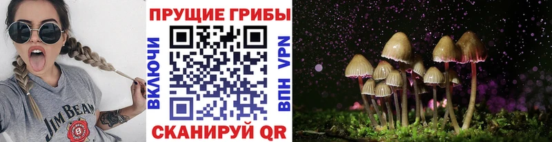 Галлюциногенные грибы Psilocybe  Купить где  Мариинский Посад 